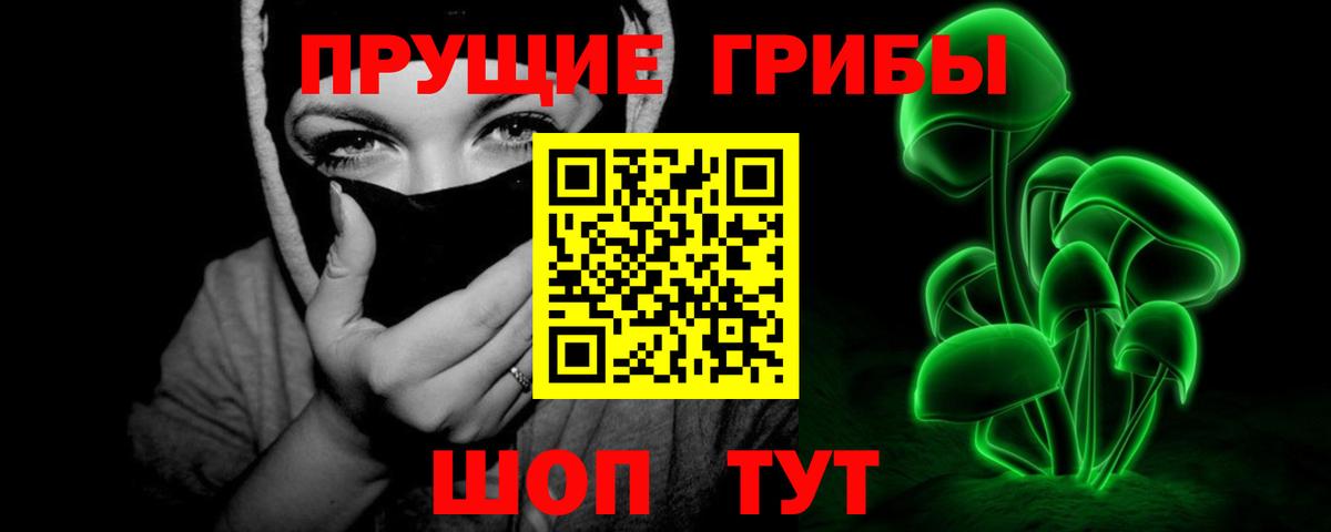 Псилоцибиновые грибы Psilocybe  Вход с VPN  Похвистнево 